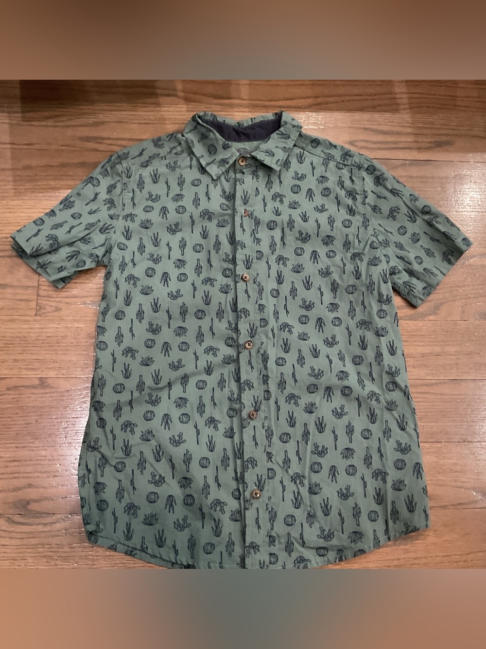 C&C California Boys Sage Green Cactus Print Button Down Shirt Size L (10/12)